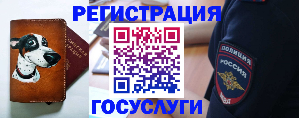 временная регистрация в квартире в Чкаловске
